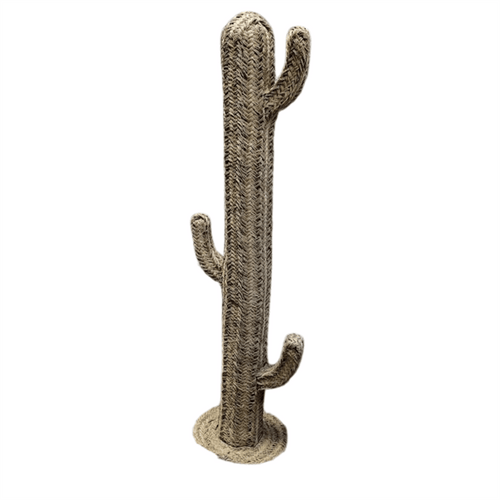 Decor Cactus_décor
