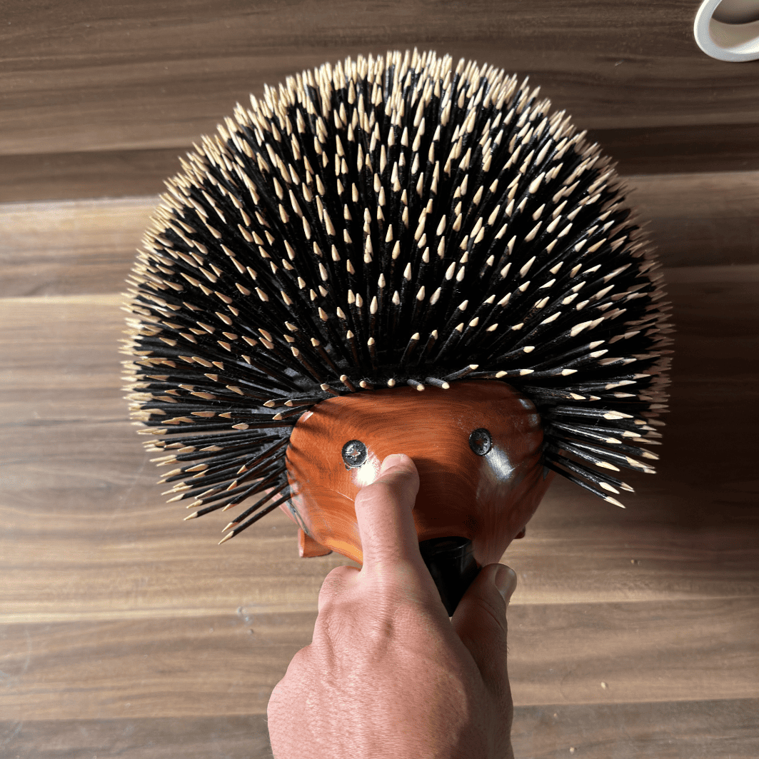Decor of Thuya Hedgehog_Hedgehog Decor