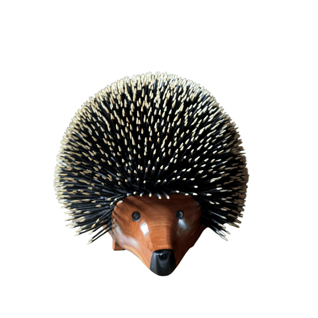 Decor of Thuya Hedgehog_Hedgehog Decor