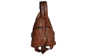 Violin backpack